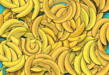O teste visual de 5 segundos: Encontre a cobra escondida entre as bananas.