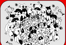 O quebra-cabeça visual do cavalo: 99% não conseguem encontrá-lo em menos de 15 segundos