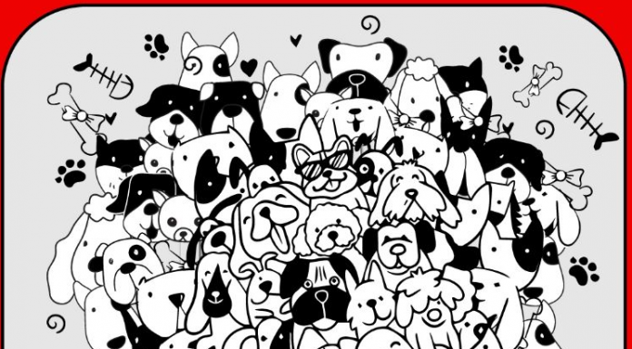 O quebra-cabeça visual do cavalo: 99% não conseguem encontrá-lo em menos de 15 segundos