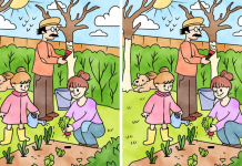 Quão nítida é a sua percepção visual?: Encontre cinco diferenças entre essas duas imagens.