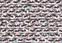 Encontre o cachorro escondido entre os pandas neste quebra-cabeça visual insolúvel