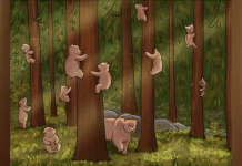 Embora existam muitos ursos, existe um que se disfarçou. Tente encontrar um intruso!