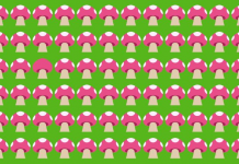 9 imagens que buscarão comprometer sua atenção aos detalhes. Encontre os “intrusos”!