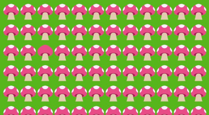 9 imagens que buscarão comprometer sua atenção aos detalhes. Encontre os “intrusos”!