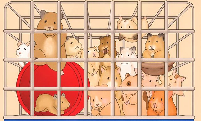 São 10 imagens: forcem os olhos e ativem o cérebro para ver o COELHO na imagem 1. Habilita-se?