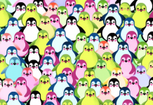 Você consegue ver o abacate entre os pinguins do desafio viral? Vamos lá!