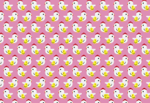 DESAFIO VISUAL: encontre 2 galinhas com dois pintinhos na foto.