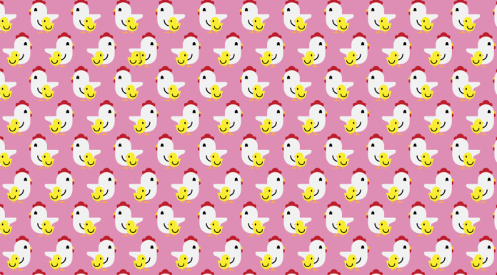 DESAFIO VISUAL: encontre 2 galinhas com dois pintinhos na foto.