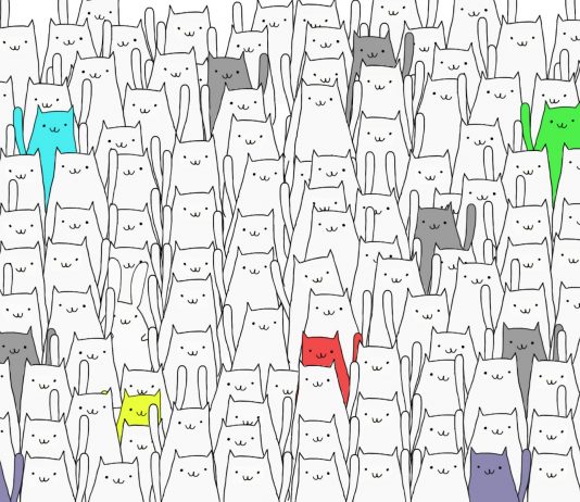 Você consegue identificar o coelho escondido em um mar de gatos neste quebra-cabeças?