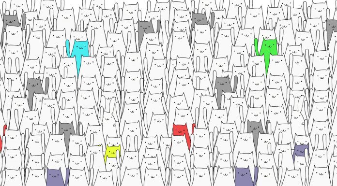 Você consegue identificar o coelho escondido em um mar de gatos neste quebra-cabeças?