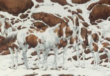 O número de cavalos que você vê na imagem revelará o quão analítico você é! Teste-se!