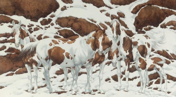 O número de cavalos que você vê na imagem revelará o quão analítico você é! Teste-se!