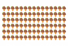Desafie-se encontrando a casquinha diferente em até 10 segundos! És capaz?
