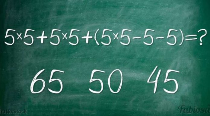 Quebra-cabeça lógico: você pode resolver esta tarefa?