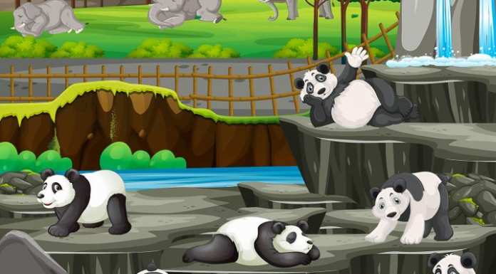 Teste seu poder de observação: ache um erro ilógico na imagem!