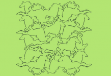 Teste sua habilidade visual encontrando os animais que estão completos na imagem. São 8 imagens!