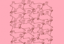 Teste sua habilidade visual encontrando os animais que estão completos nas 7 imagens.