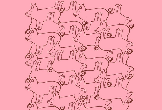 Teste sua habilidade visual encontrando os animais que estão completos nas 7 imagens.