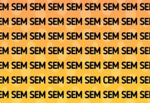 Teste visual: Coloque suas habilidades à prova e encontre a “palavra diferente”!