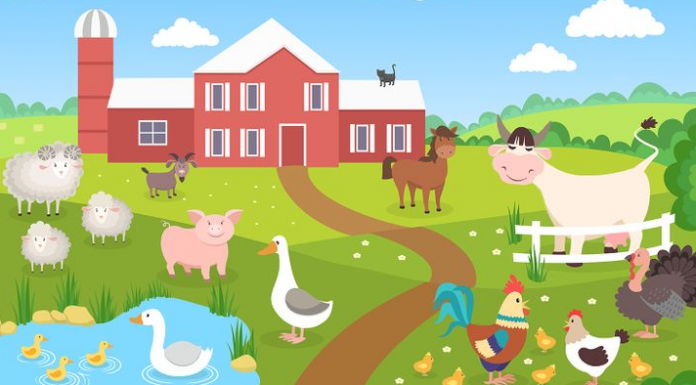 Desafio lógico: encontre um erro no desenho da vaca malhada. És capaz?