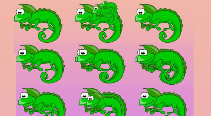 Teste a sua visão e diga-nos quantos animais tem nas 9 imagens: Quantos camaleões na imagem 1?