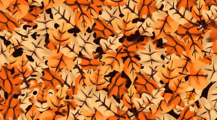 Abra bem os olhos: Vemos as folhas outonais mas, e o tigre escondido! Você vê?