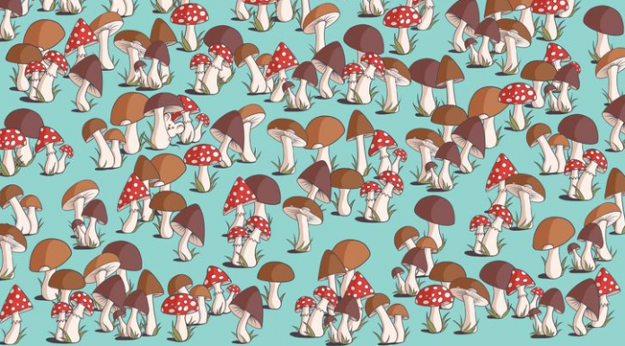 Desafio viral: olhe para a imagem e tente descobrir onde o mouse(rato)está se escondendo!