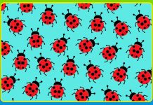 Desafie a sua visão e descubra onde está escondido o animal “diferente” dos demais. São 7 imagens!