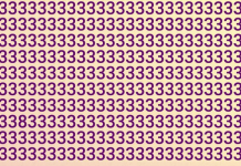 Encontrar o “intruso” camuflado na imagem do teste visual é muito difícil. Consegue em 5s?