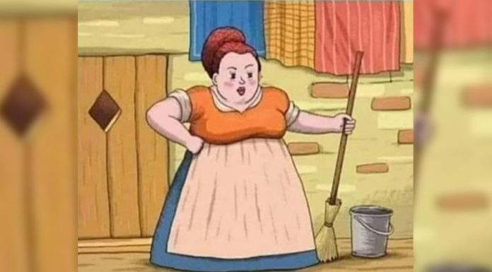 Desafio de agilidade: encontre o gato escondido em apenas 10 segundos!