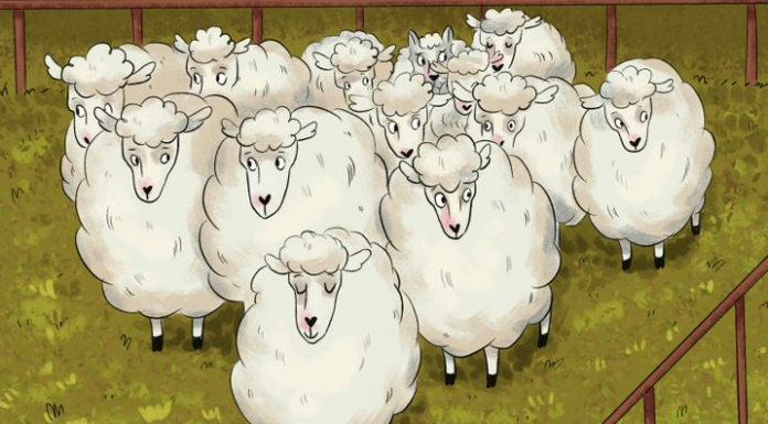 Você é um observador de primeira linha? encontre o “intruso”!