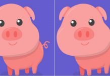 Nem todo mundo vai notar imediatamente: você conseguiu encontrar a diferença nas imagens?