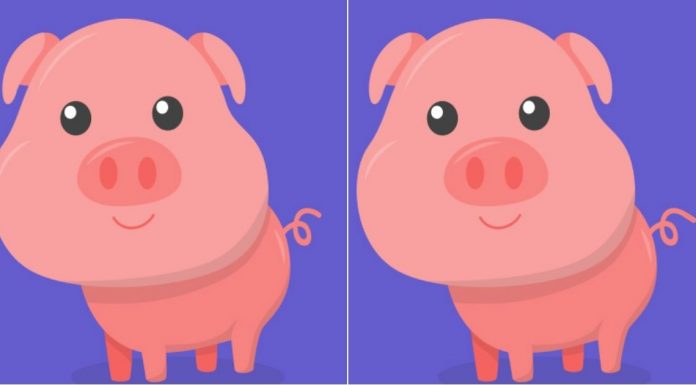 Nem todo mundo vai notar imediatamente: você conseguiu encontrar a diferença nas imagens?