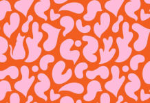 O quebra-cabeça visual do GATO: 1% o encontra em menos de 7s!