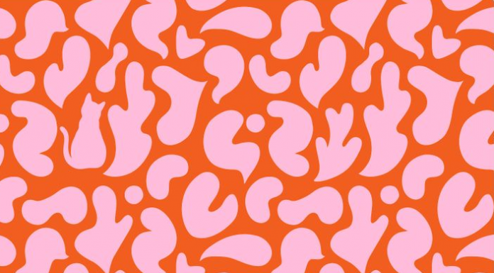 O quebra-cabeça visual do GATO: 1% o encontra em menos de 7s!