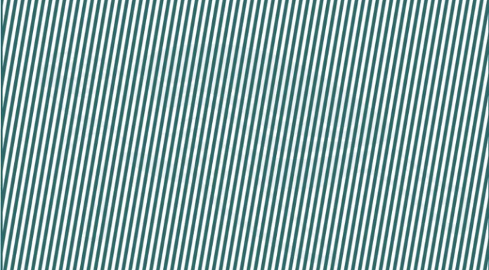 12 ilusões de ótica com animais escondidos para verificar sua visão: Estás preparado?