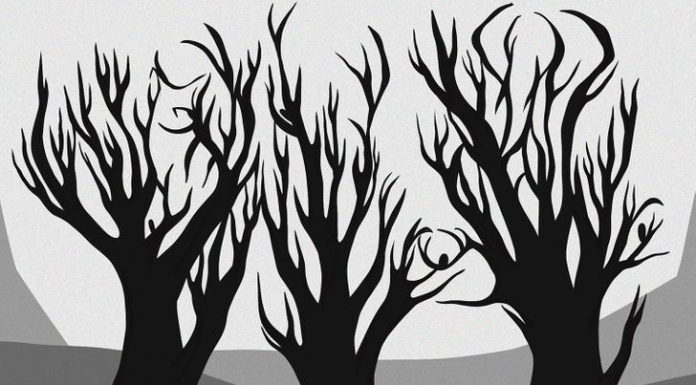 Ative o foco e intuição rápida: Quantos animais você vê entre as árvores?