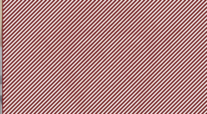 Teste de visão aguda: Você consegue identificar um animal na imagem?