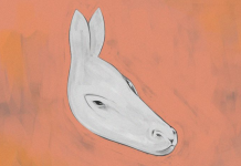 Conheça aspectos do seu jeito de ser a partir do que você vê: burro ou foca?