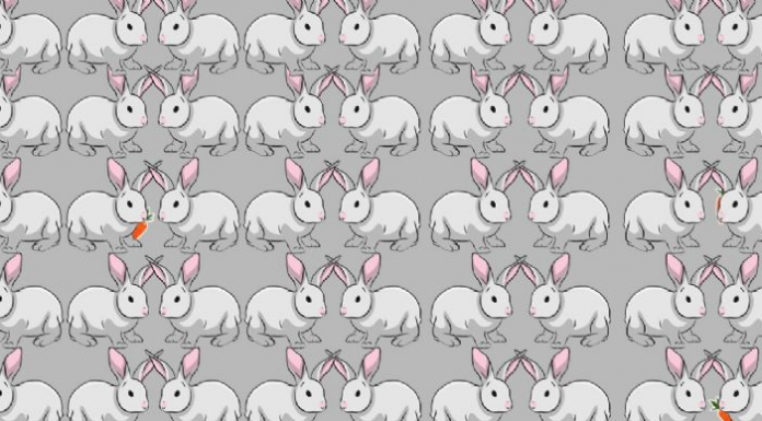 Quebra-cabeça visual: Encontre as cenouras em menos de 10 segundos