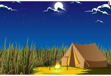 Teste nível difícil: Use toda a capacidade do seu cérebro e encontre o chapéu!