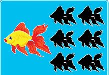 10 desafios visuais para exercitar o cérebro: Você consegue encontrar a sombra correta do peixe na imagem 1?