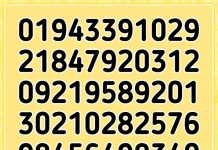Como está sua percepção hoje? Você pode encontrar o número 492 em 07 s?