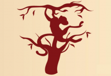 Qual é a primeira coisa que você nota nesta foto? A resposta revela algo interessante sobre você!