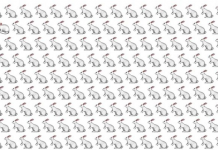 Observe todos os detalhes: Você vê um “intruso” na imagem?