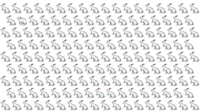 Observe todos os detalhes: Você vê um “intruso” na imagem?