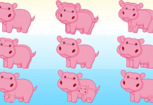 Teste: O número de hipopótamos que você vê nesta imagem revelará algo interessante sobre você