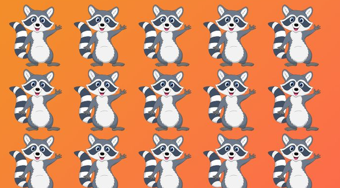 Use seus olhos de águia: Onde está o guaxinim?