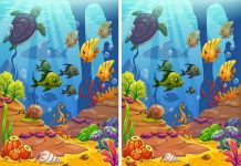 6 imagens para testar sua capacidade de prestar atenção aos detalhes – Encontre as 8 diferenças no teste 1