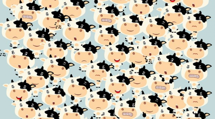 Encontre a vaca que fechou os olhos!Apenas os mais espertos encontram em 5 segundos!